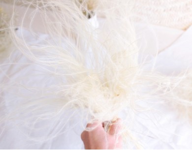 Bouquet cheveux d'ange séchés - Stipa