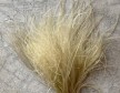 Bouquet cheveux d'ange séchés - Stipa
