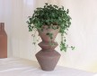 Vase plante verte terre cuite - Madam Stoltz